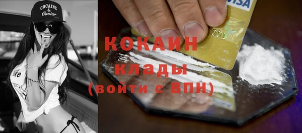 шишки Баксан