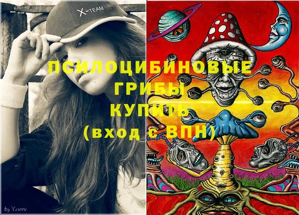 дурь Балахна