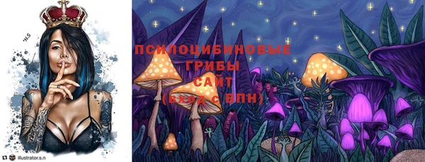 дмт Беломорск