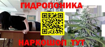 СК Наро-Фоминск