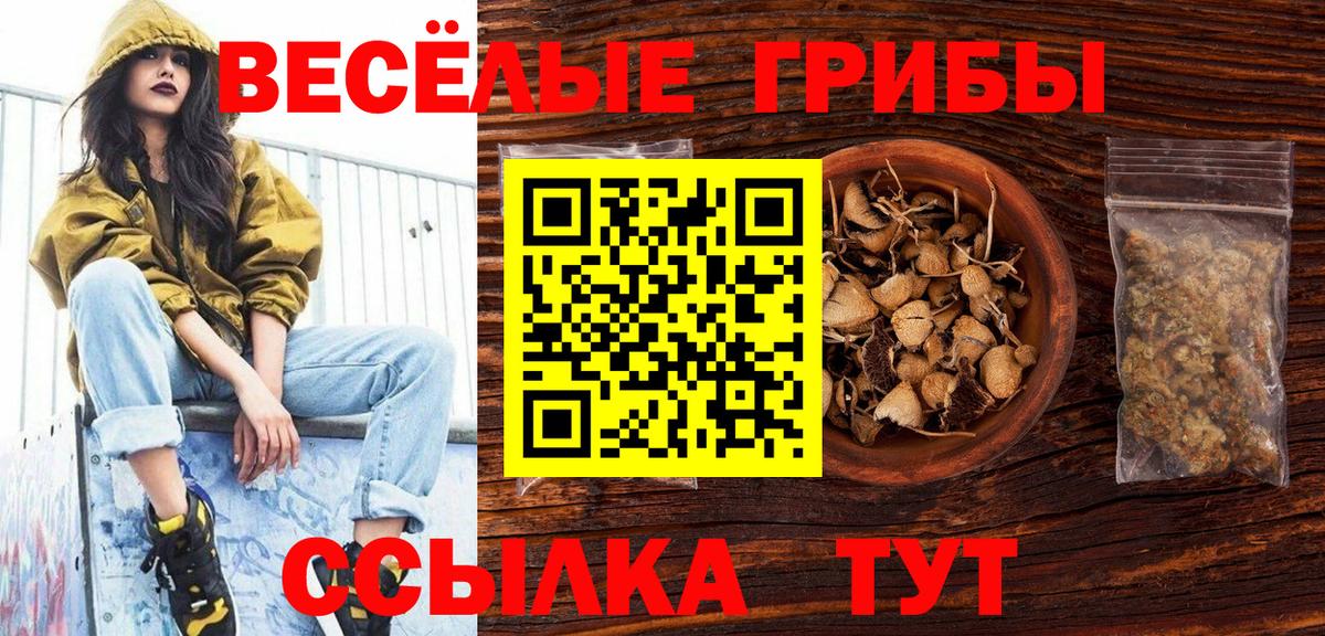 Псилоцибиновые грибы мухоморы  Вход с VPN  Армавир 